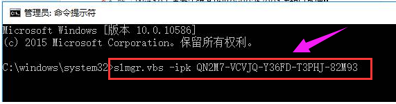 提示错误 提示错误