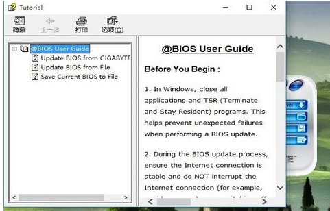 bios bios