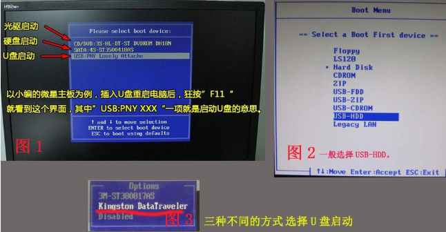 专业版 专业版