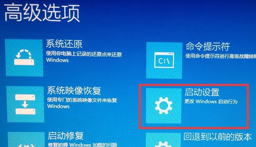 win10 win10