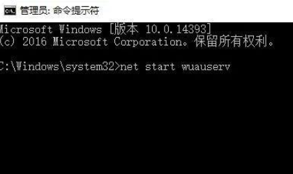 1616482504932627.png image.png