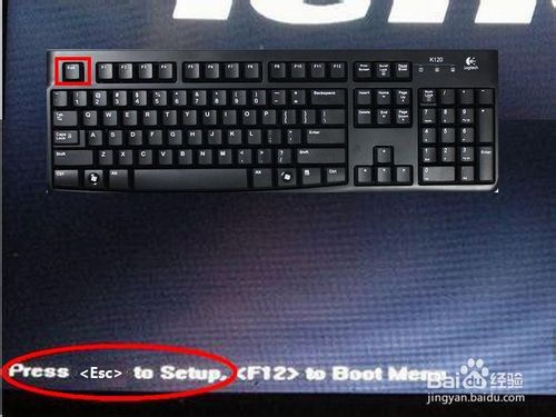 1479960069449940.jpg 3.jpg