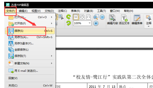 pdf pdf