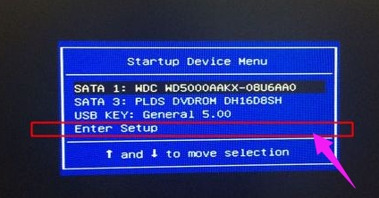 xp xp