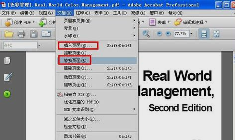 PDF文件 PDF文件
