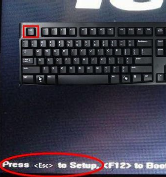 bios bios
