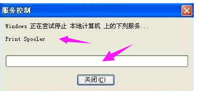病毒 病毒