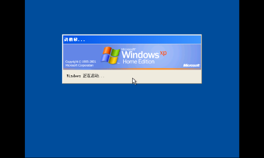 win xp win xp