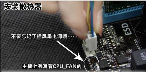 组装 组装