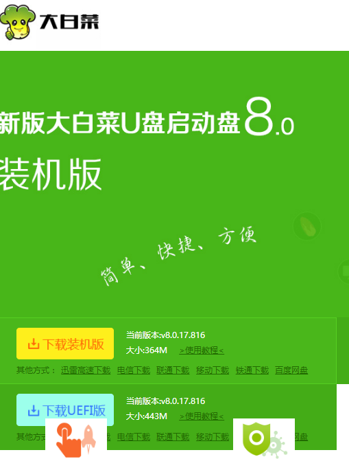 大白菜 大白菜