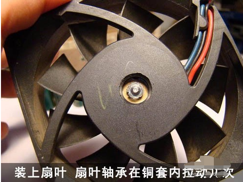 噪音 噪音