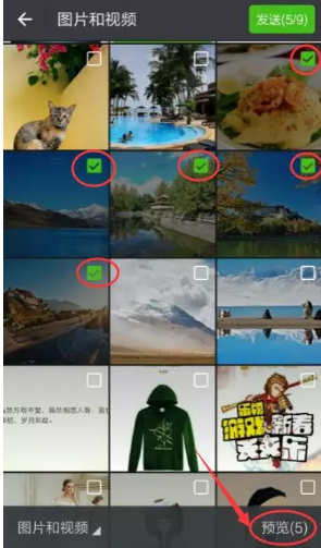 照片 照片