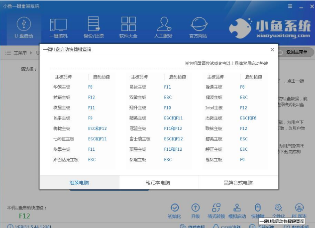 小鱼 小鱼