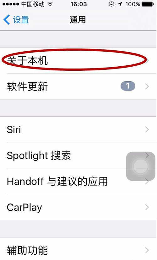 苹果序列号