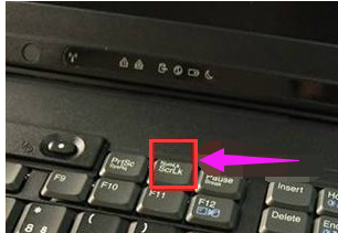 出现数字 出现数字
