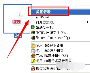 文件 文件