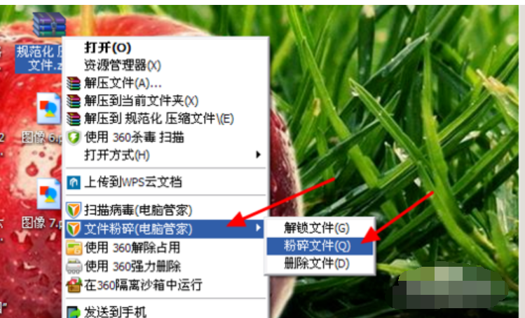 电脑 电脑