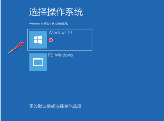 1617587038927463.png image.png